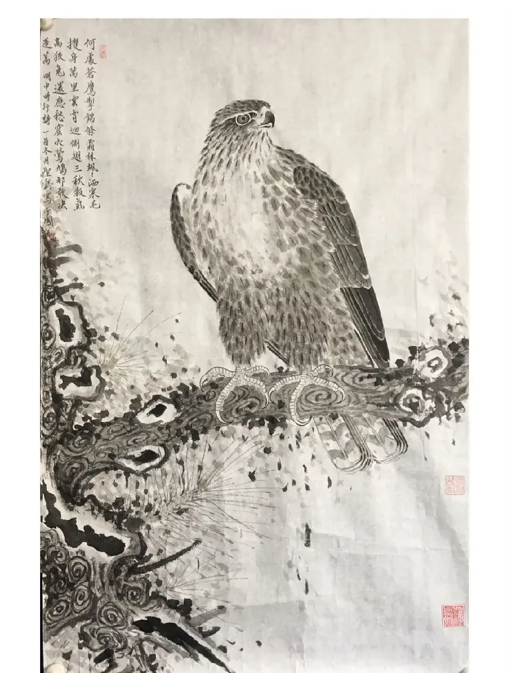 徐超·何处苍鹰制锦条
