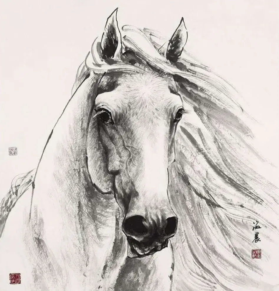 孙海晨·作品