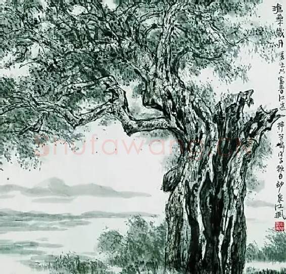 江枫·沧桑岁月