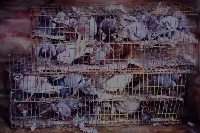 杨子·逝去的天空