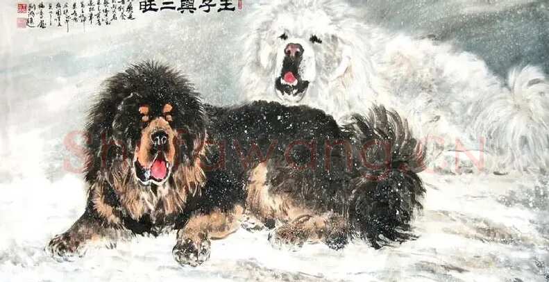 杨德才·王子与二旺
