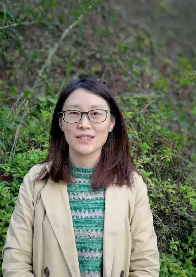 高一花