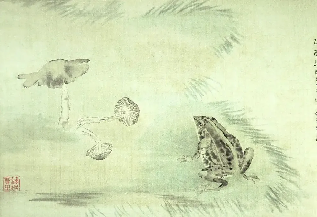 范金镛·《青蛙蘑菇》