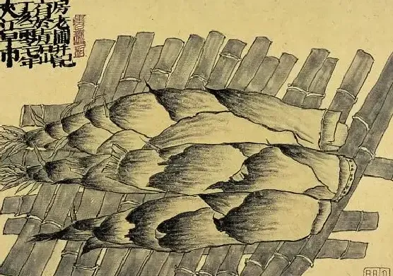 老圃·菜园子系列