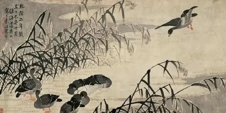 边寿民·芦雁图 横幅