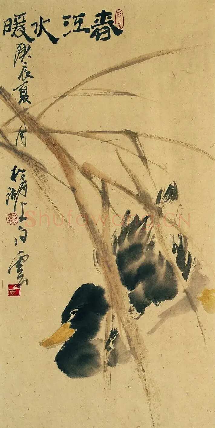 白云·春江水暖