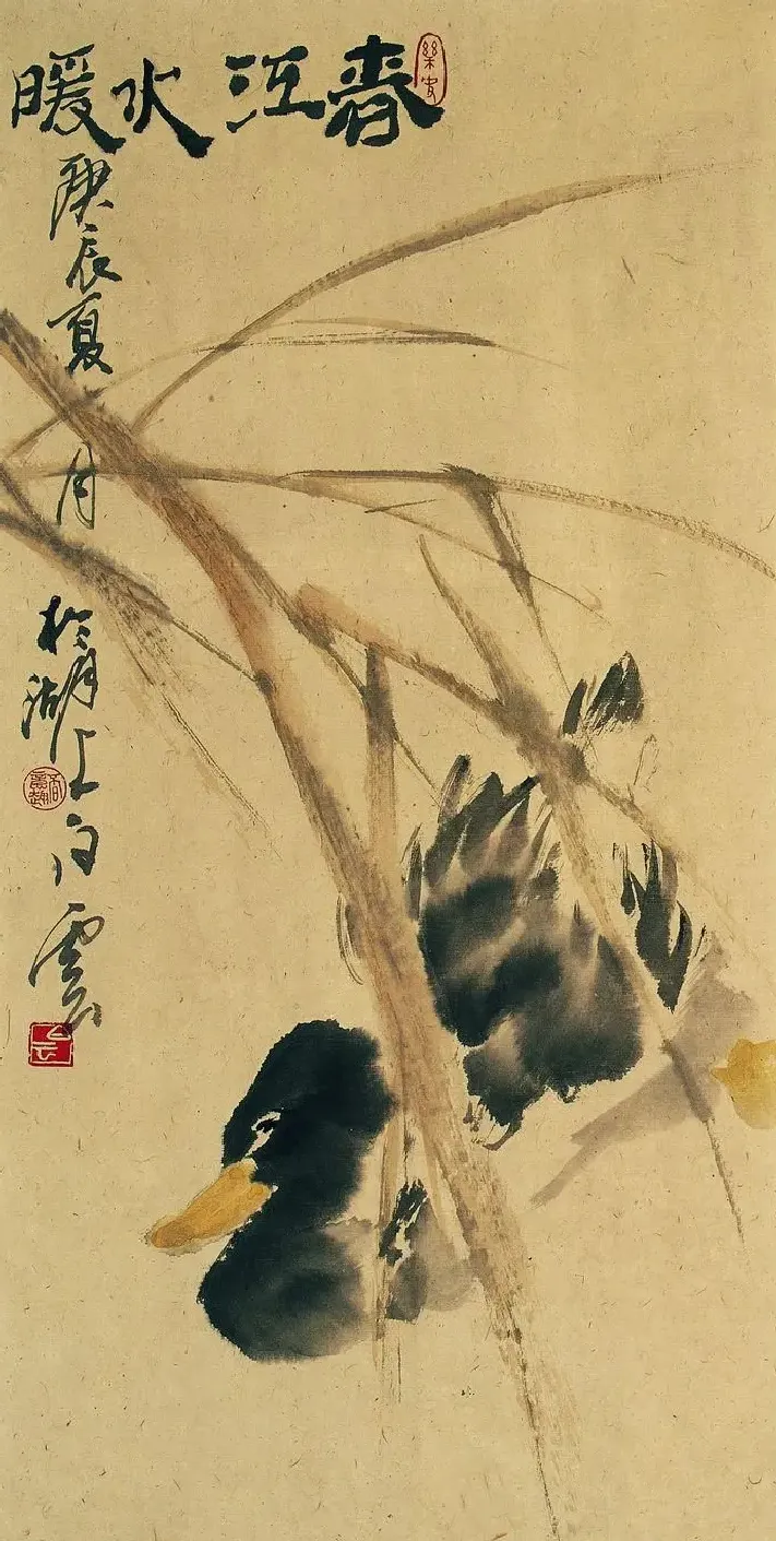白云·春江水暖