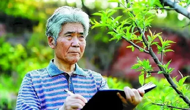 王征