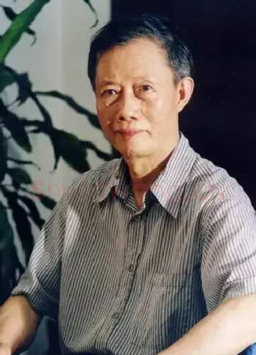 陈树斌