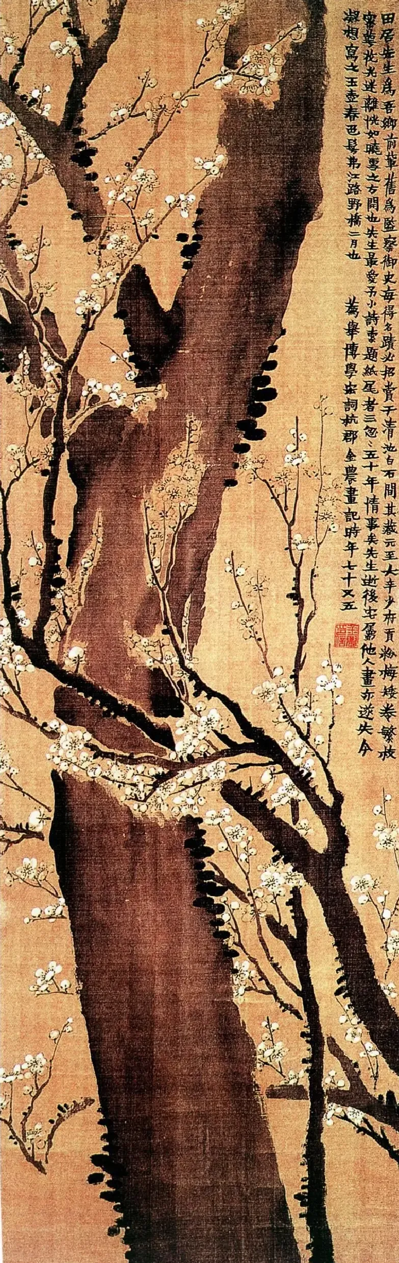金农·梅花图