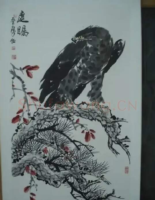 晋鹰·4