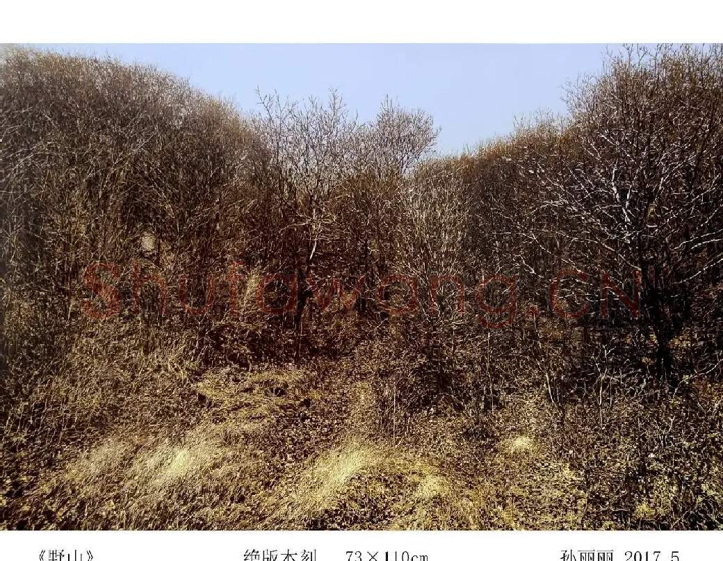 孙丽丽·《野山》