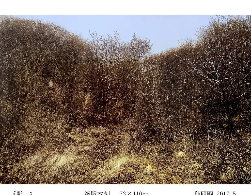 孙丽丽·《野山》