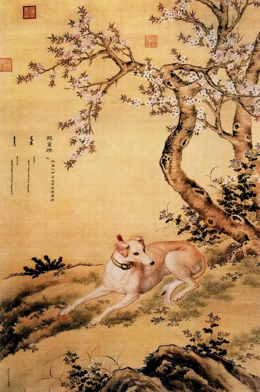 郎世宁·宫廷画