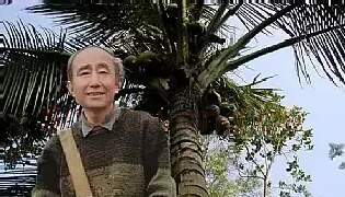 裘缉木