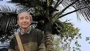 裘缉木