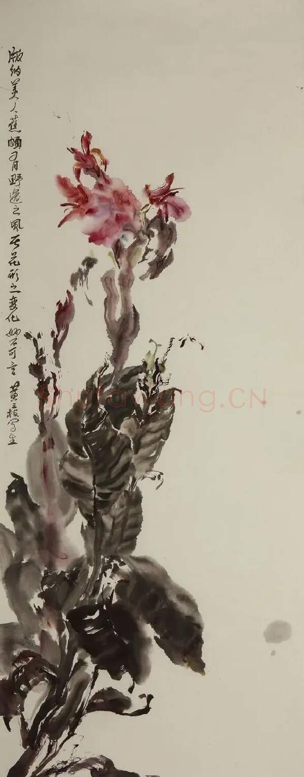 黄三枝·美人蕉