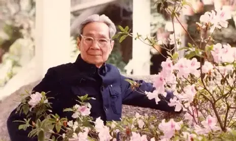 曾竹韶
