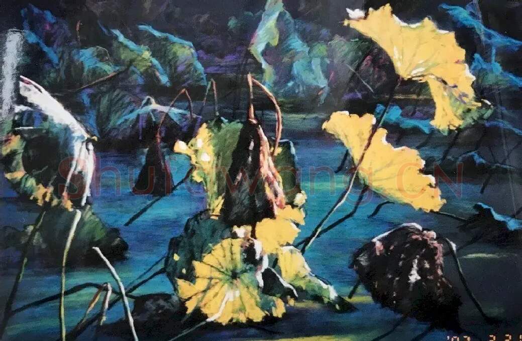 陆伯平·阳光下的荷塘
