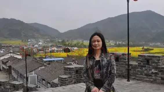 蔡丽