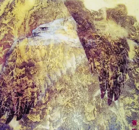 毛水仙·大鹏