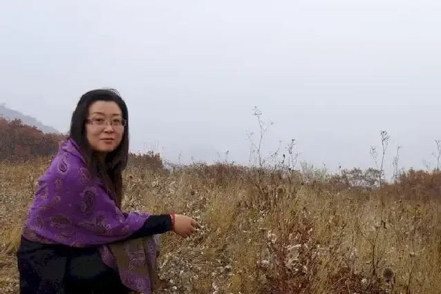 周莲荣