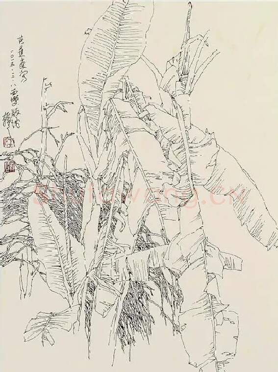娄建国·写生作品