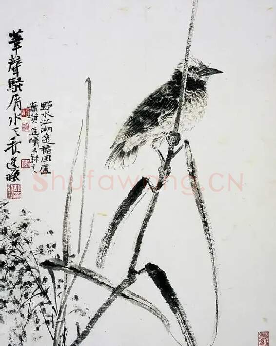 胡进曦·墨花墨禽之一