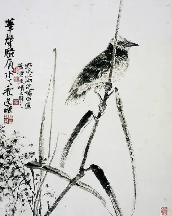 胡进曦·墨花墨禽之一