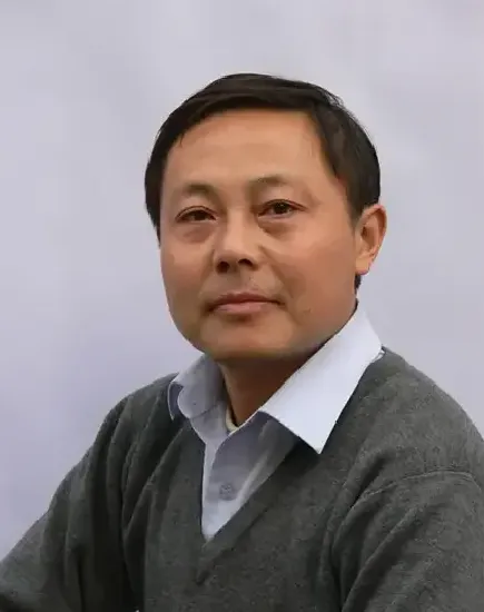 陈元强