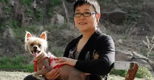 陈子