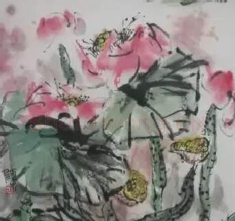 王栩根·荷1