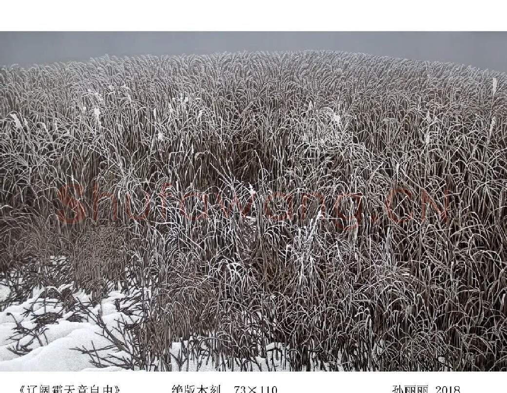 孙丽丽·《辽阔霜天竟自由》