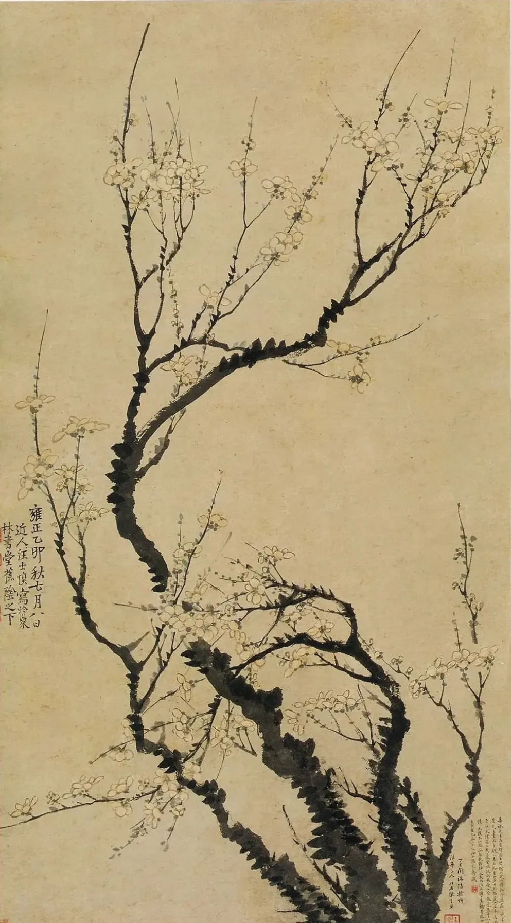 汪士慎·梅花图