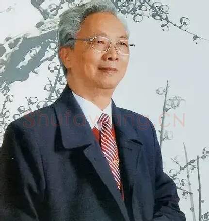 傅梅影