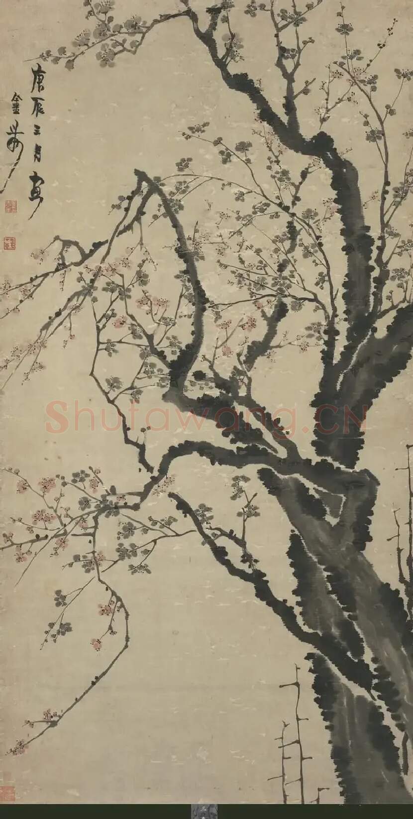 金农·梅花图