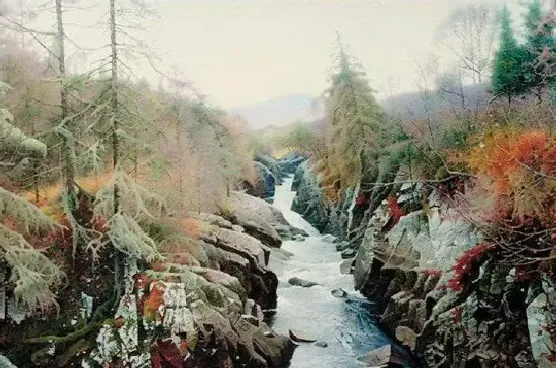 陶世虎·苏格兰溪流
