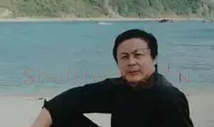 刘大力