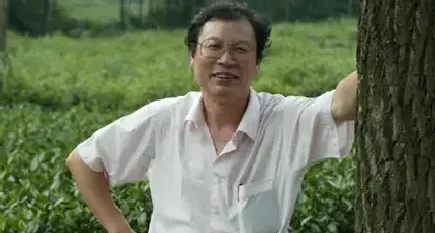 闵学林
