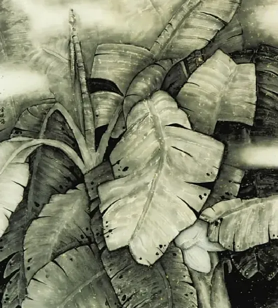 金晓海·芭蕉