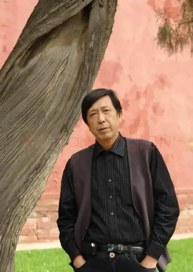 樊枫