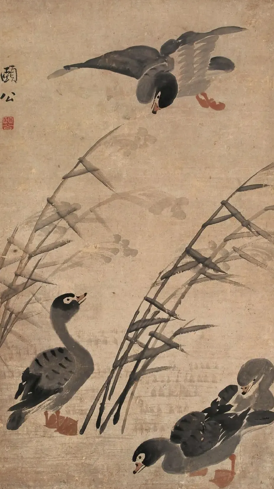 边寿民·芦雁