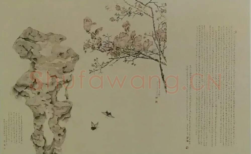 韦静·岁月静好