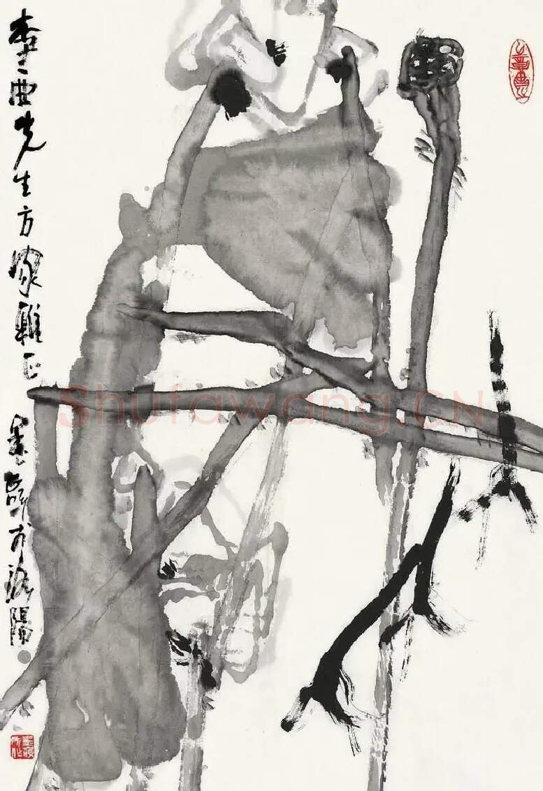 王金岭·荷花