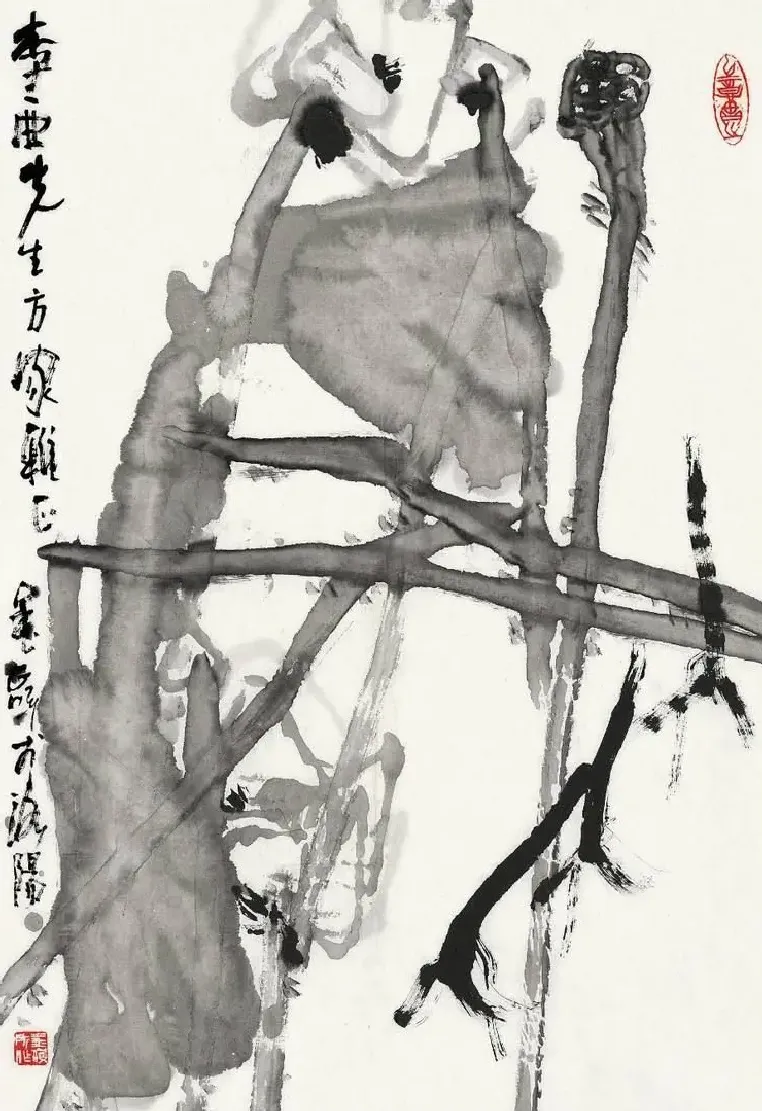 王金岭·荷花