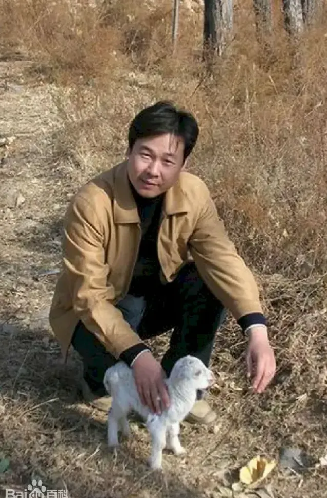 陈健