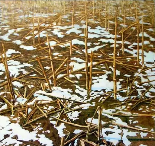 李晓军·玉米地