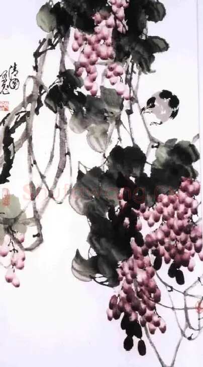 赵清国·葡萄