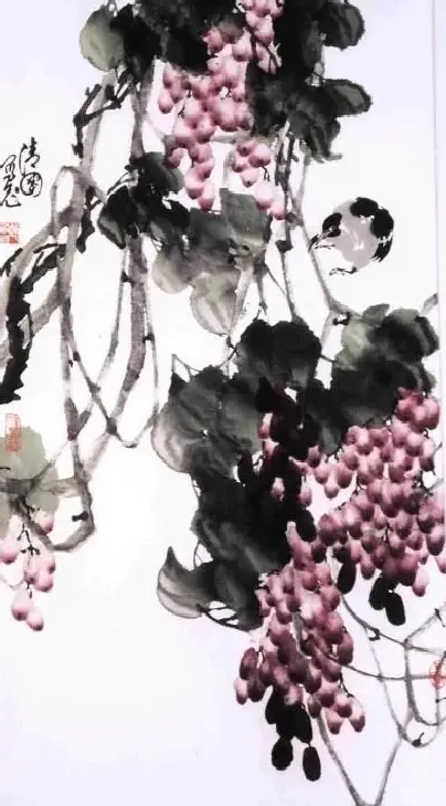 赵清国·葡萄