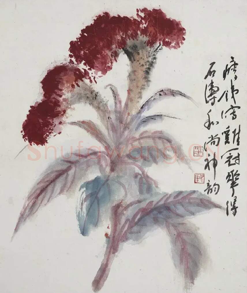 钱瘦铁·鸡冠花